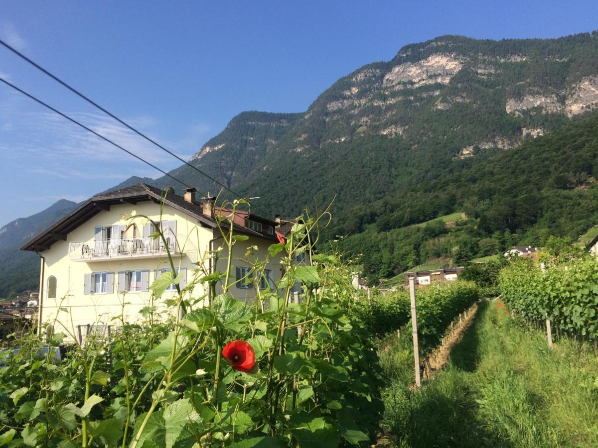 Bed and Breakfast Haus Jablonsky Caldaro Exteriér fotografie